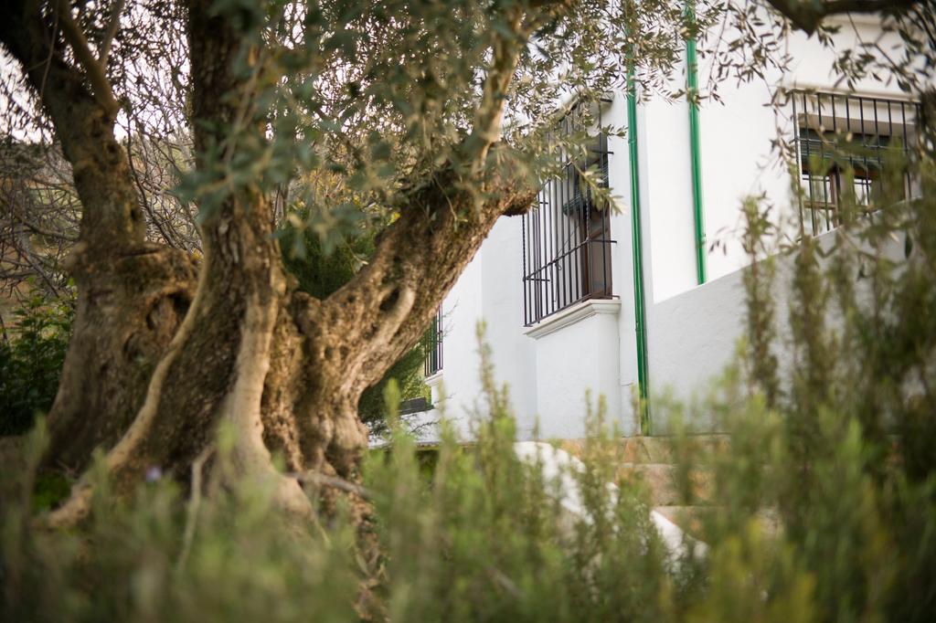 Casa Olea Bed & Breakfast Priego de Córdoba Dış mekan fotoğraf