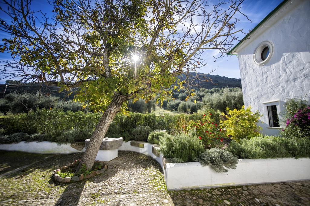 Casa Olea Bed & Breakfast Priego de Córdoba Dış mekan fotoğraf